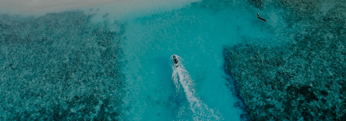 海の上に散骨するサービスのイメージ画像