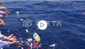 海上で花をまく散骨セレモニーの様子