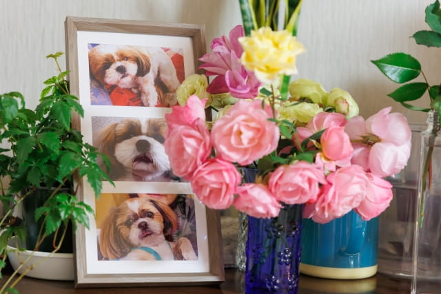 ペットの写真と飾られたお花
