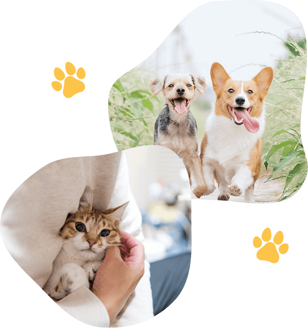 打ち合わせをする様子