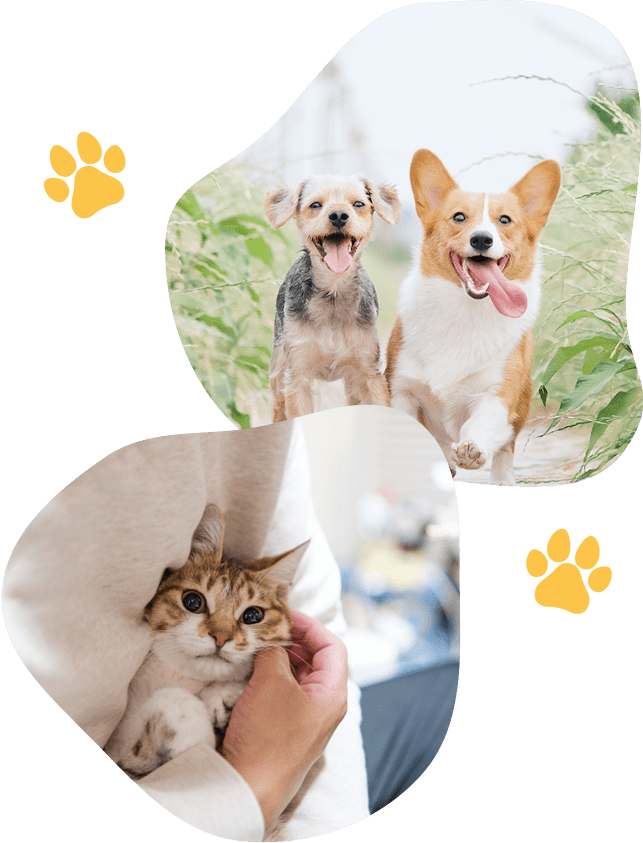 打ち合わせをする様子