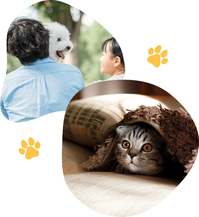 打ち合わせをする様子