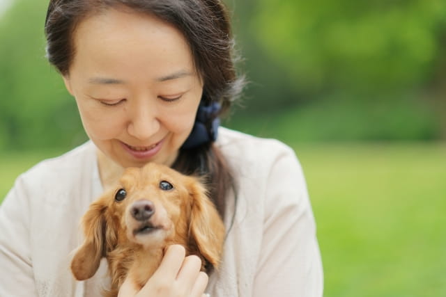 女性に抱かれている犬