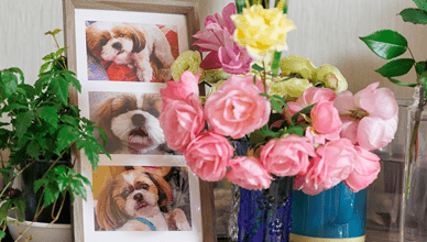 ピンクの花と飾られたペットの写真