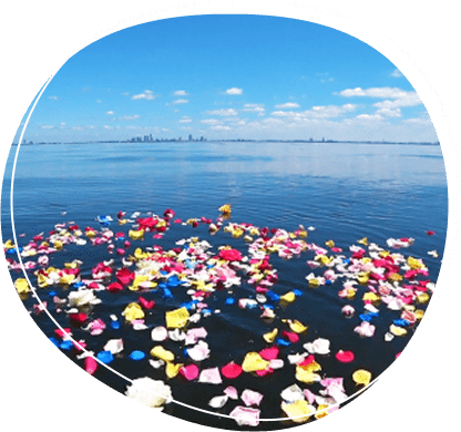 花びらが浮いた海